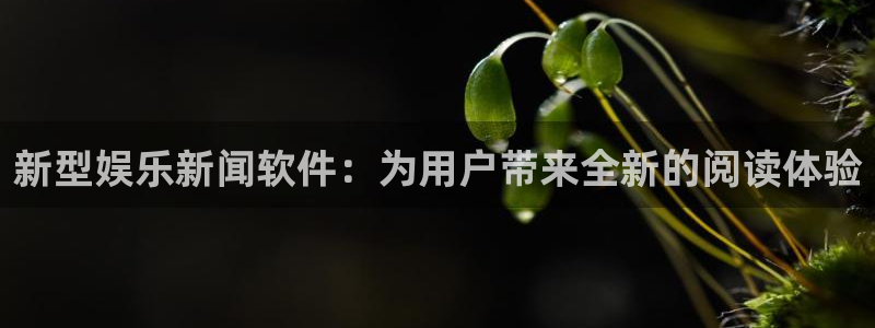 新型娱乐新闻软件：为用户带来全新的阅读体验