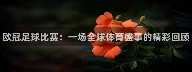 欧冠足球比赛：一场全球体育盛事的精彩回顾