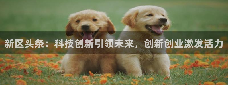 新区头条：科技创新引领未来，创新创业激发活力